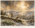 Snowdrops in January Art